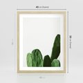 Plakat w ramie 40x50 - Minimalizm Natury - kaktus, zbliżenie - rama drewno