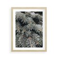 Plakat w ramie 40x50 - Zima na Gałęziach - sosnowe gałęzie, igły - rama drewno