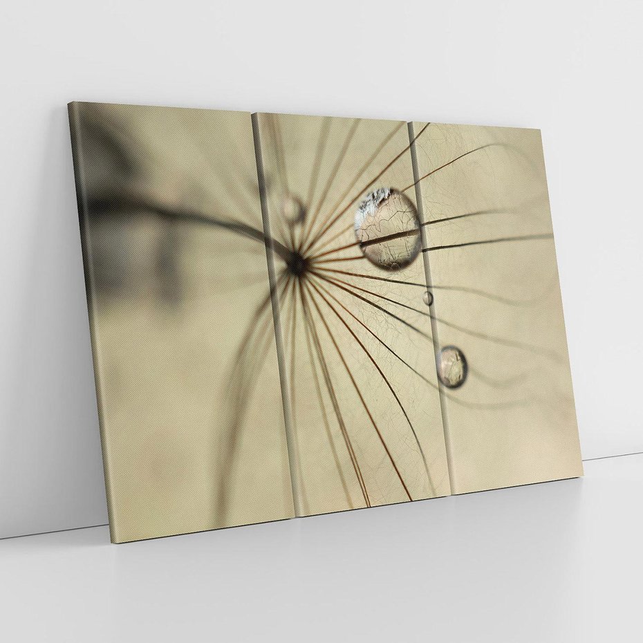 Obraz na płótnie 120x80 - Delikatność dmuchawców - dmuchawce, krople