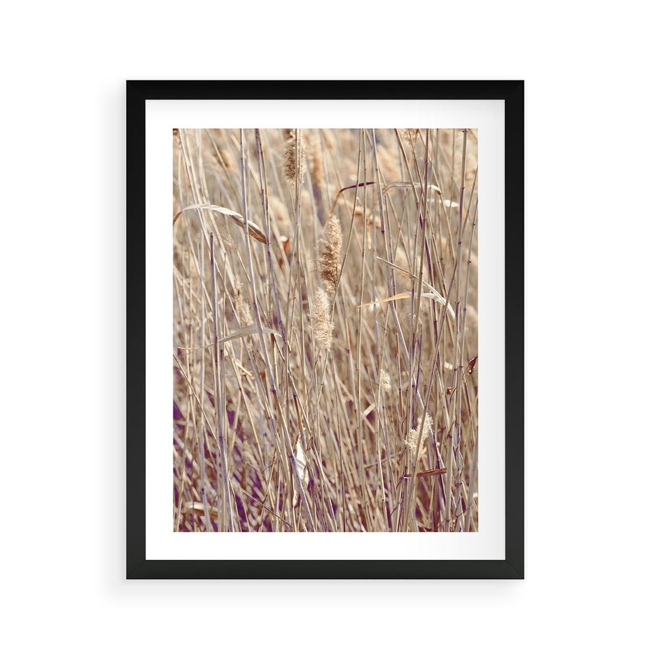 Plakat w ramie 40x50 - Suche Trawy w Wyjątkowym Stylu - suche trawy, boho styl - rama czarna