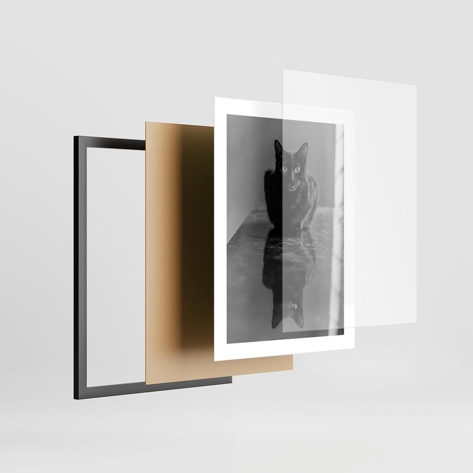 Plakat w ramie 30x40 - Kocie Oczy - kot, czarno białe zdjęcie - rama czarna