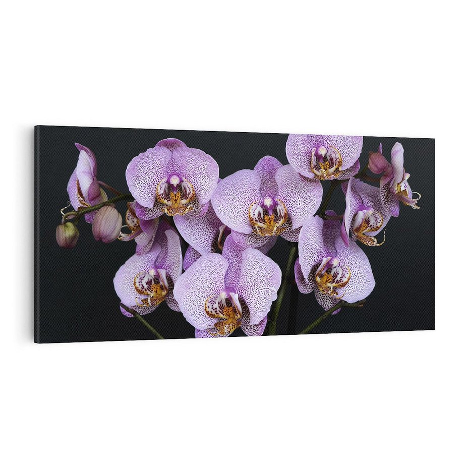 Obraz na płótnie 100x50 - Kwiatowy zachwyt pełen kolorów - kwiat, kwiaty