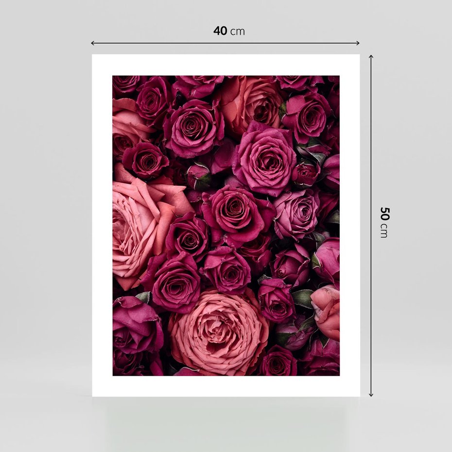 Plakat bez ramy 40x50 - Róże - piękno kwiatów - róże, kwiaty