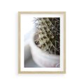 Plakat w ramie 30x40 - Kaktus w Zbliżeniu - kaktus, igły - rama drewno