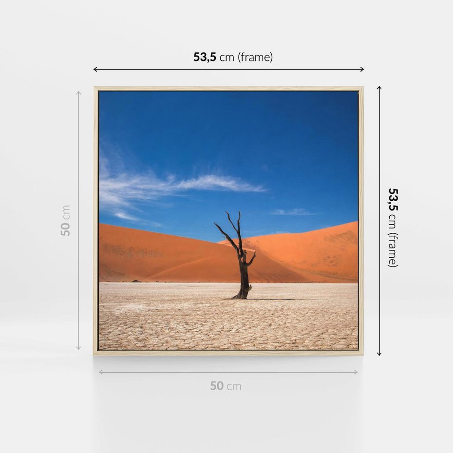 Obraz w ramie 50x50 - Słońce i Suche Drzewo - pustynia, suche - rama drewno