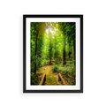 Plakat w ramie 30x40 - Współistnienie z naturą - drzewa, las - rama czarna