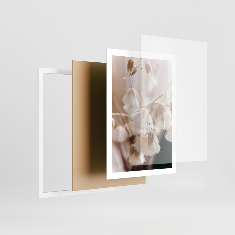 Plakat w ramie 50x70 - Suszona Delikatność - suszone kwiaty, rośliny - rama biała