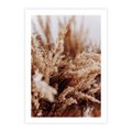 Plakat bez ramy 21x30 - Sztuka Suszonych Traw - trawa pampas, suszone trawy