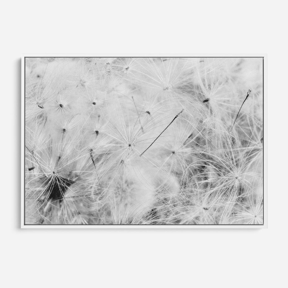 Obraz w ramie 120x80 - Zdmuchnięty Puch - dmuchawce, delikatne - rama biała