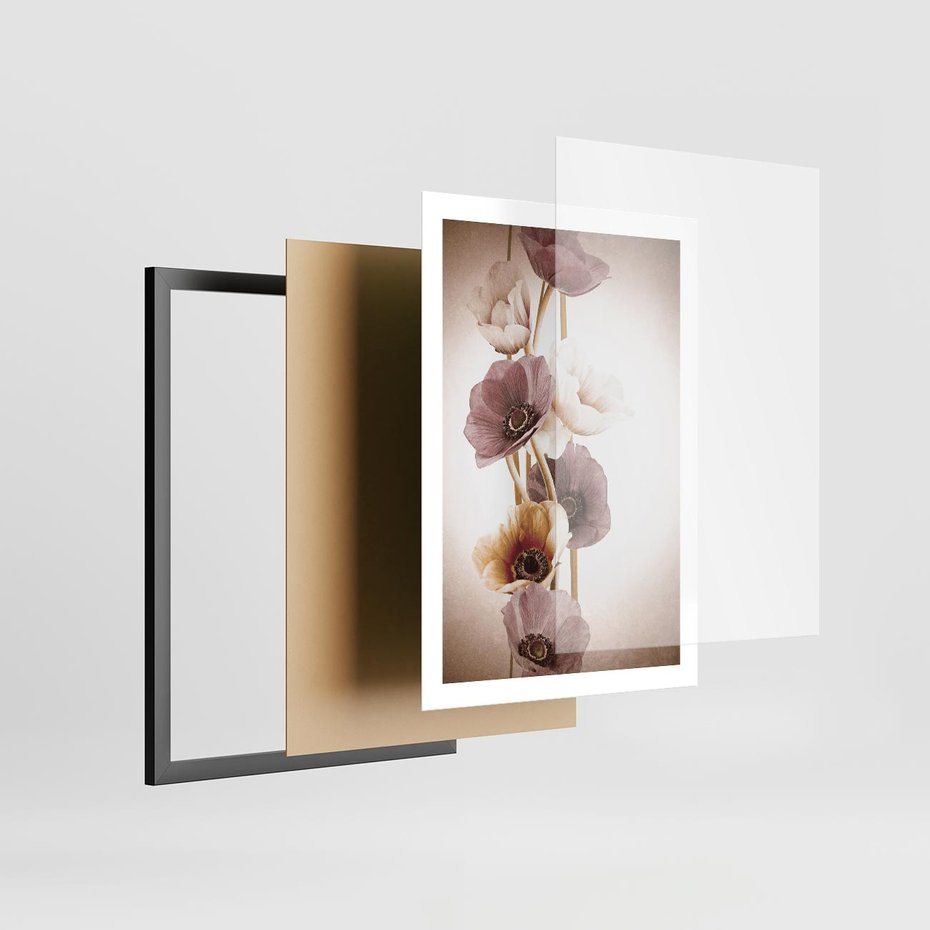 Plakat w ramie 50x70 - Eksplozja kolorów - akwarela, maki - rama czarna