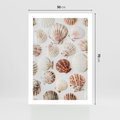 Plakat bez ramy 50x70 - Morska Delikatność: Muszelki na Białym Tle - kompozycja, morskie muszelki na białym tle
