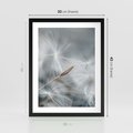 Plakat w ramie 30x40 - Piękno w Delikatności - dmuchawiec, makro zdjęcie - rama czarna