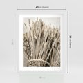 Plakat w ramie 40x50 - Letni Plon - zboże, kłosy zboża - rama biała