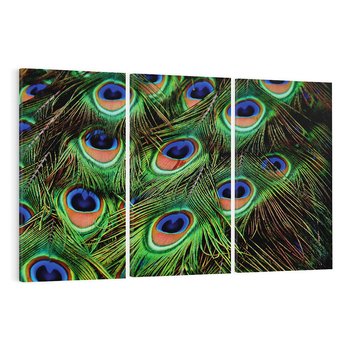 Obraz na płótnie 120x80 - Pawi Ogon - Piękno i Wspaniałość - paw, pióra