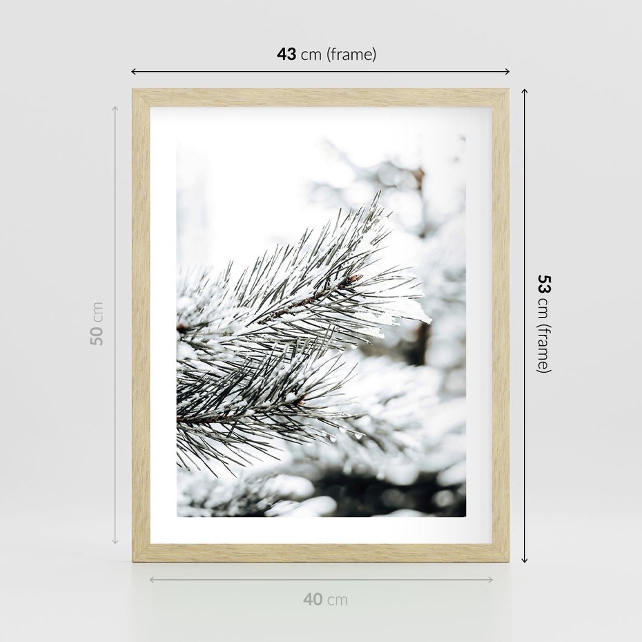 Plakat w ramie 40x50 - Chwila Zimowej Magii - iglasta gałązka, śnieg - rama drewno