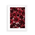 Plakat w ramie 30x40 - Energia Kwiatów - czerwone kwiaty, kompozycja - rama biała