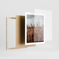 Plakat w ramie 40x50 - Wysokie Trawy w Górskim Krajobrazie - suche trawy, wysokie trawy - rama drewno