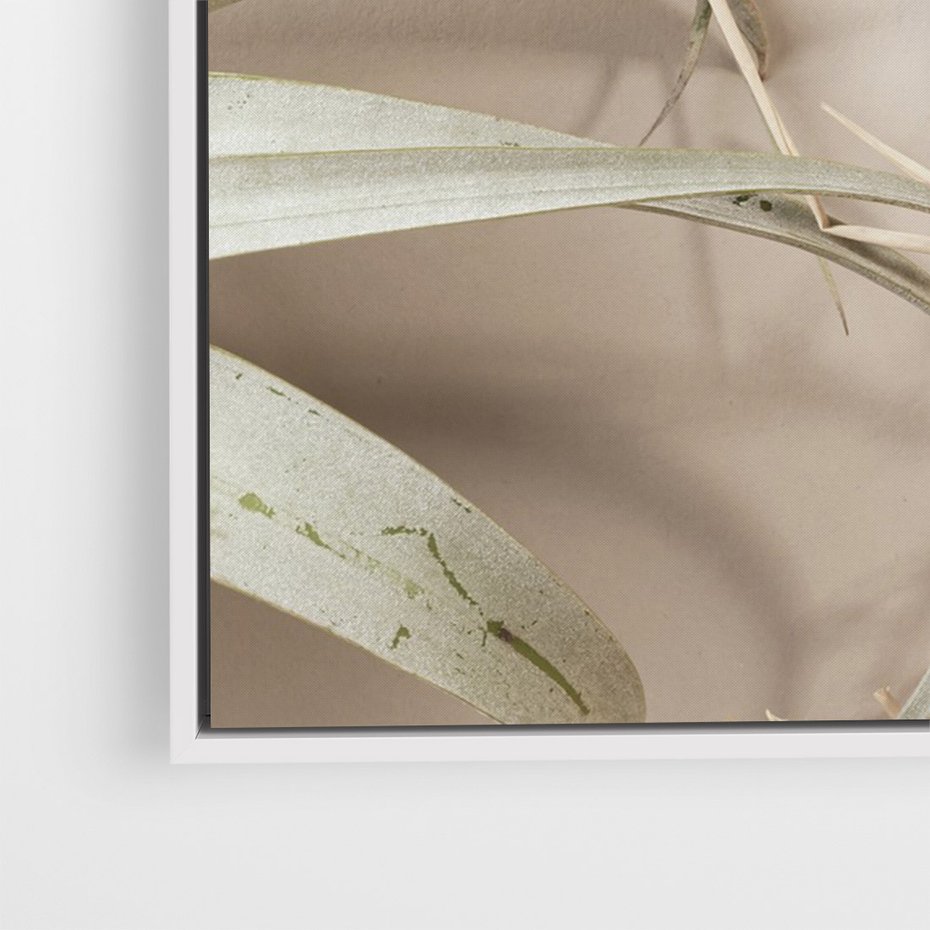 Obraz w ramie 80x120 - Boho urok suchych liści - suche, liście - rama biała