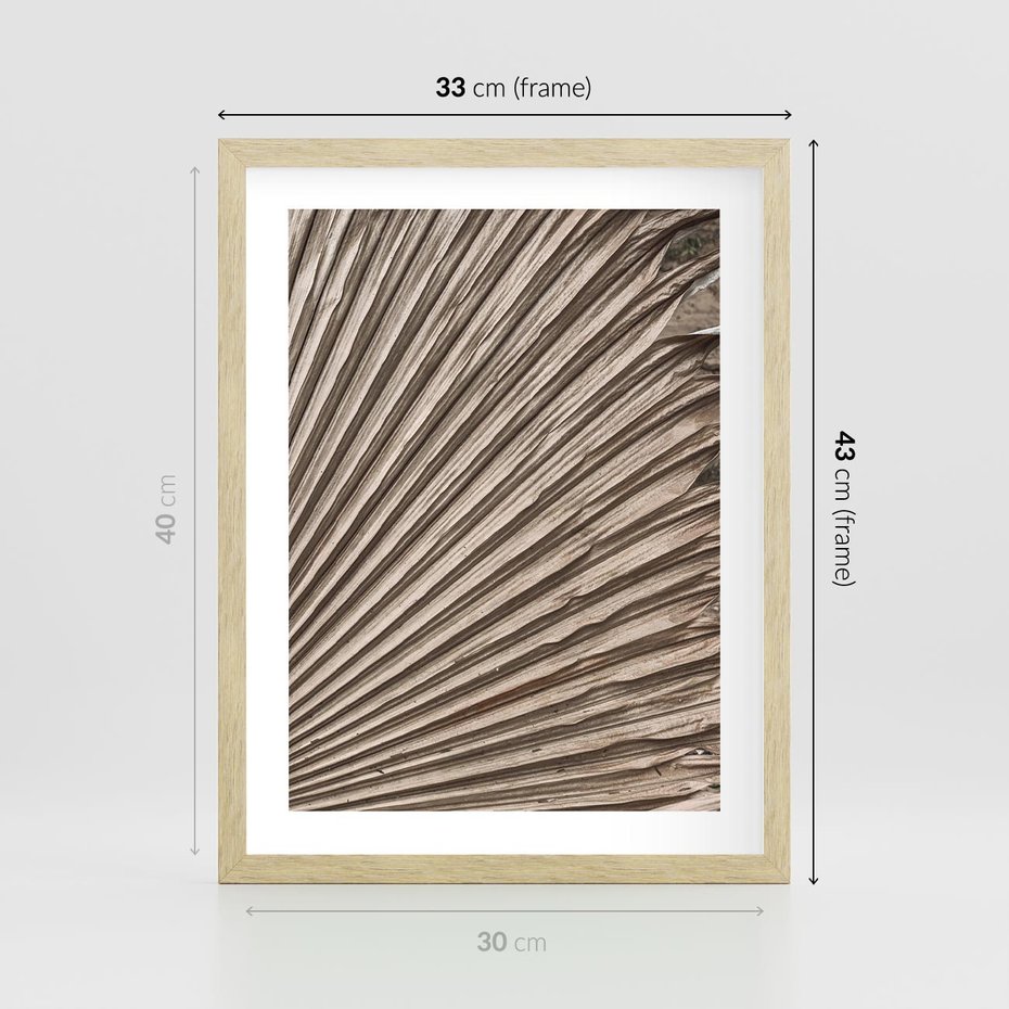 Plakat w ramie 30x40 - Liść Palmy w Wyjątkowej Kompozycji - suchy liść palmy, boho styl - rama drewno
