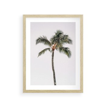 Plakat w ramie 30x40 - Wakacyjne Marzenia - palma na tle nieba - rama drewno