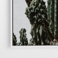 Obraz w ramie 80x80 - Boho oaza wśród kaktusów - kaktusy, pustynia - rama biała