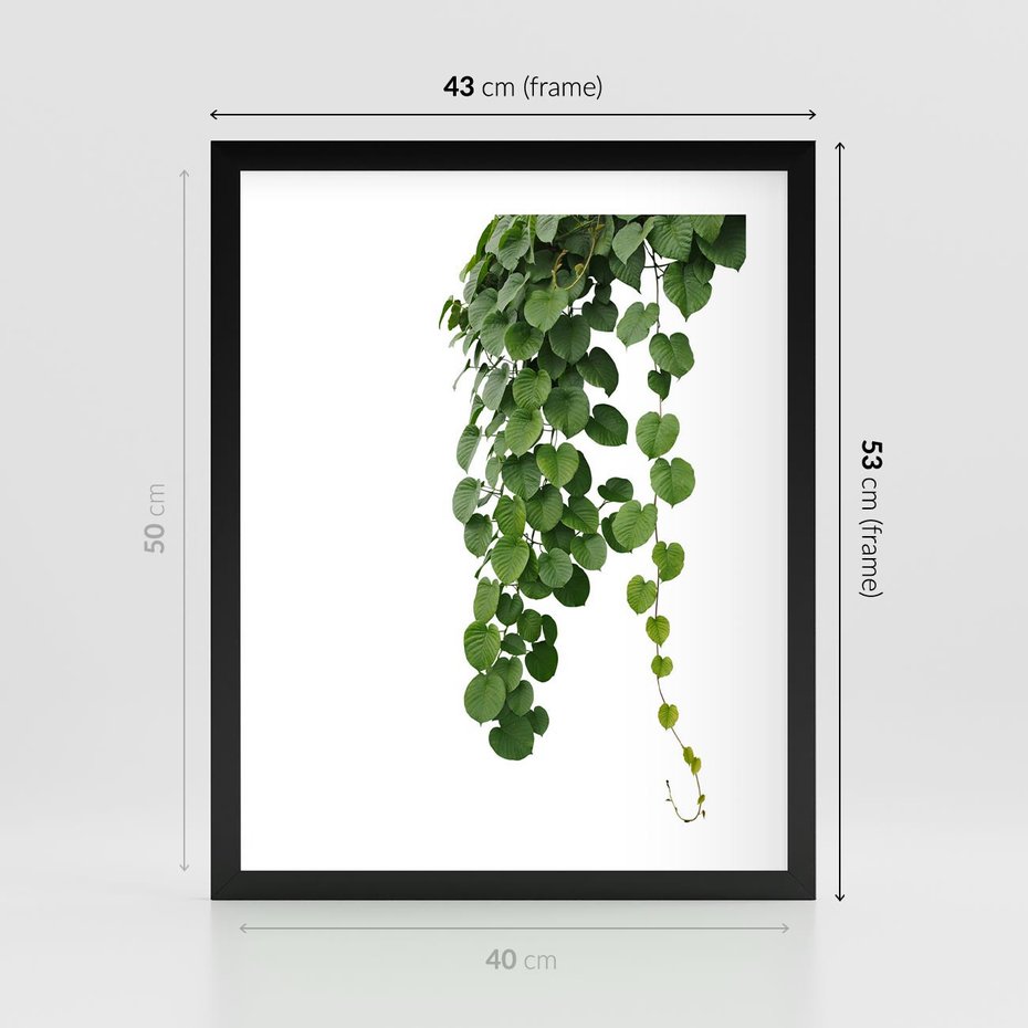 Plakat w ramie 40x50 - Świeżość Natury - liście, zielone - rama czarna