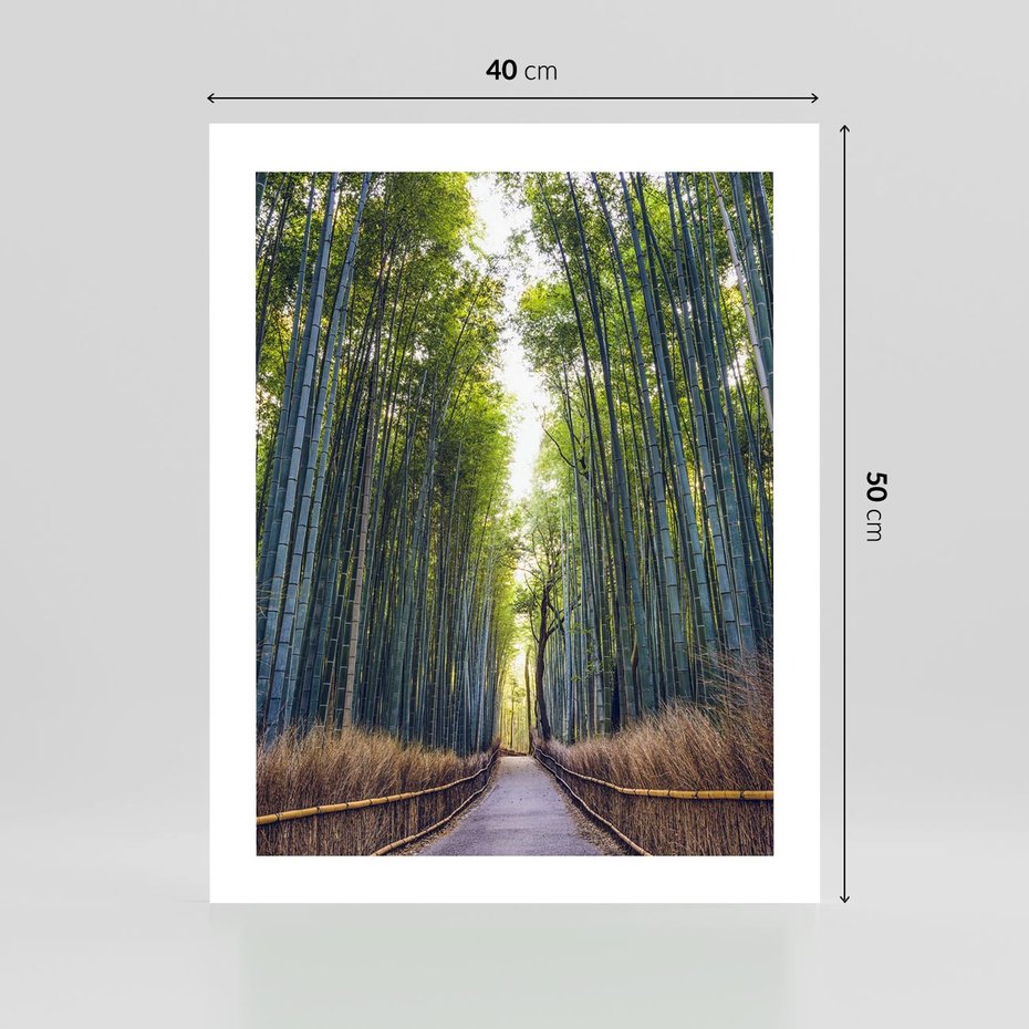 Plakat bez ramy 40x50 - Urokliwa dróżka w lesie - las, dróżka