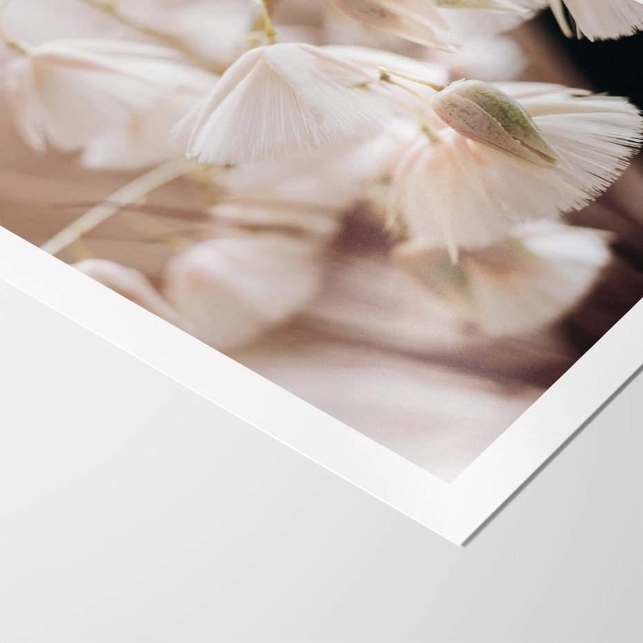 Plakat bez ramy 21x30 - Suszona Delikatność - suszone kwiaty, rośliny