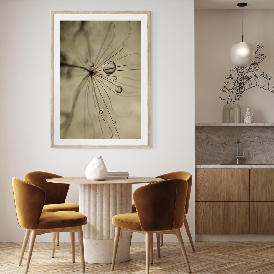 Plakat w ramie 40x50 - Delikatność dmuchawców - dmuchawce, krople - rama drewno