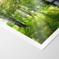 Plakat bez ramy 30x40 - Lasowa Księżycowa Noc - las, drzewa