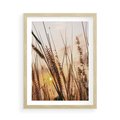 Plakat w ramie 50x70 - Malownicza Łąka z Trawam - trawy, łąka - rama drewno