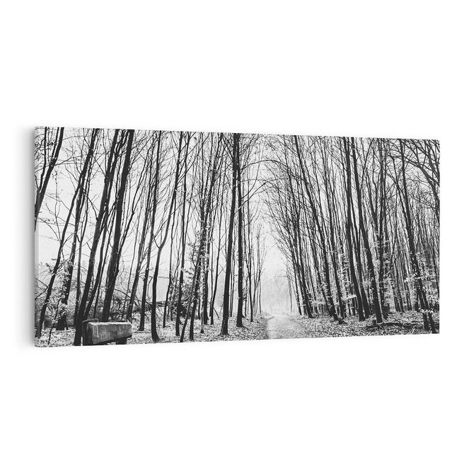 Obraz na płótnie 100x50 - Spadające Liście - czarno białe zdjecie, park