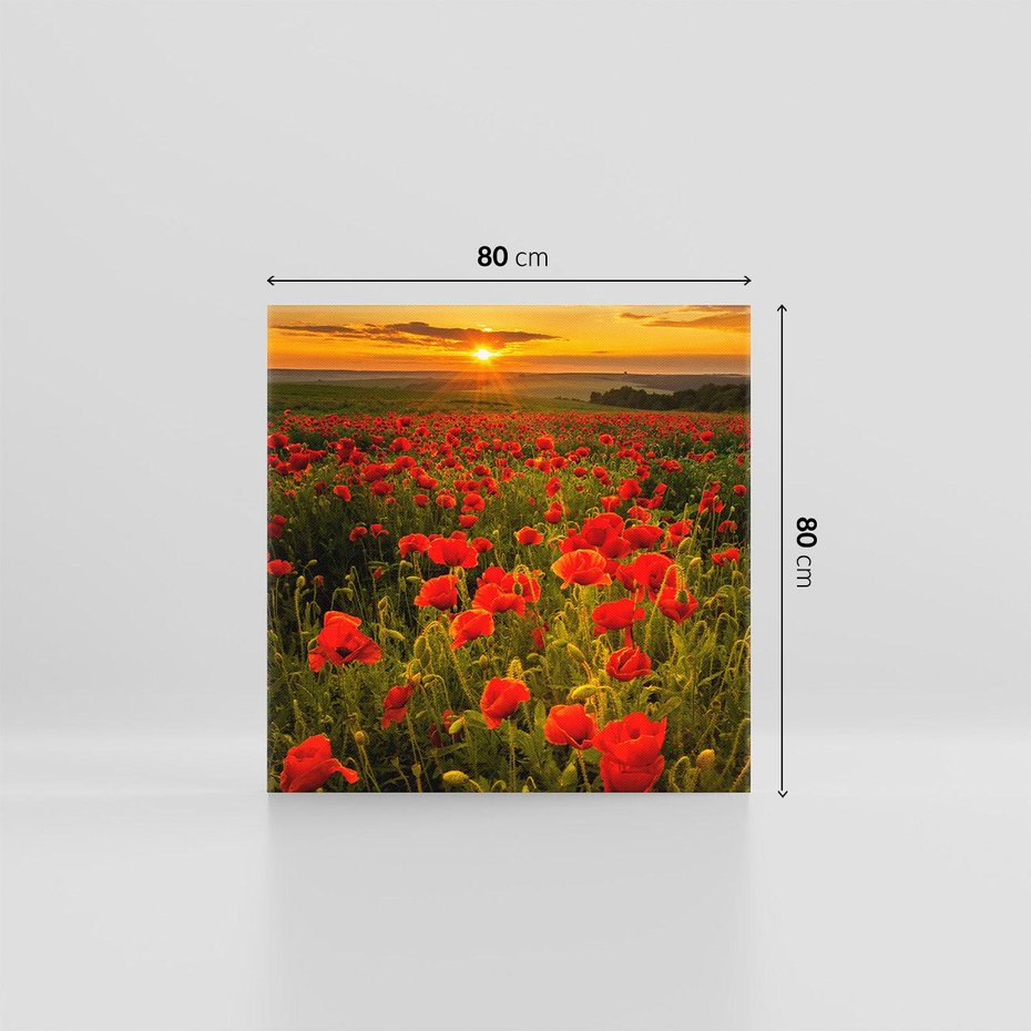 Obraz na płótnie 80x80 - Maki przy zachodzie słońca - maki, zachód