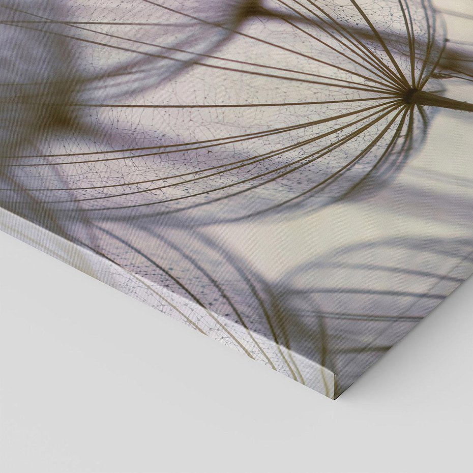 Obraz na płótnie 70x50 - Makro dmuchawiec - piękno drobnych detali - dmuchawce, makro