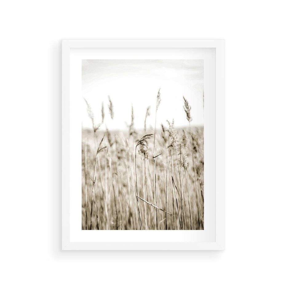 Plakat w ramie 30x40 - Nostalgiczny Pejzaż - suche trawy, pole - rama biała