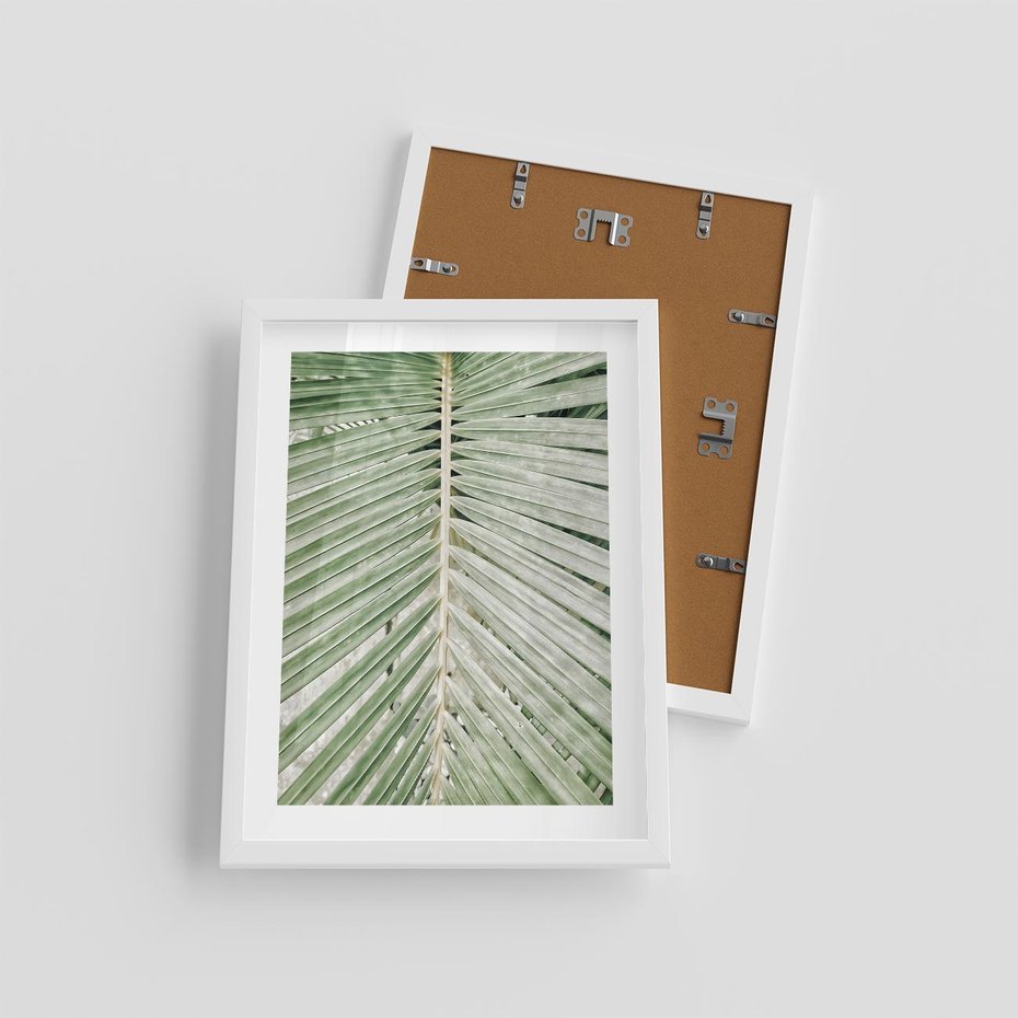 Plakat w ramie 30x40 - Jasna Zieleń Palmy - liść palmy, zbliżenie - rama biała
