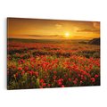 Obraz na płótnie 100x70 - Makowe uczucia - maki, kwiaty