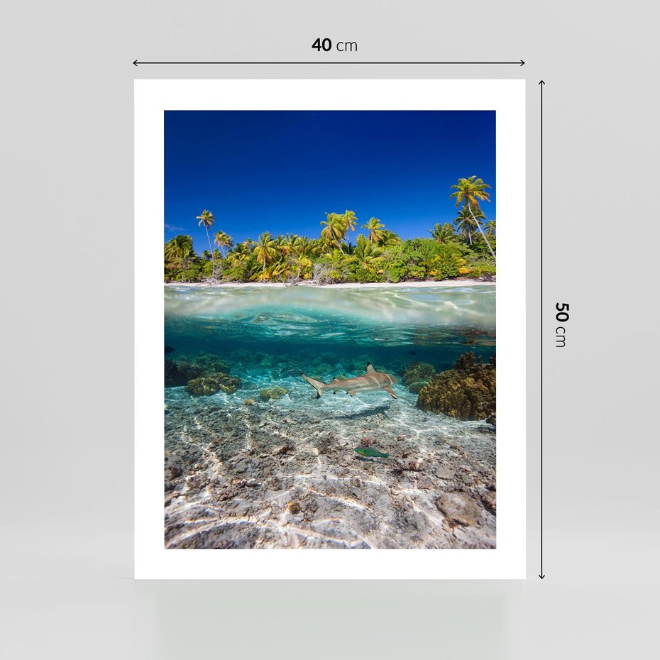 Plakat bez ramy 40x50 - Tropikalne Morze i Kolorowa Rafa - tropikalne, morze
