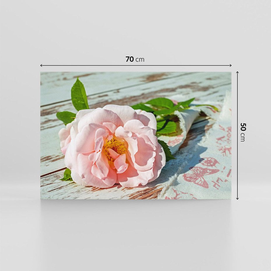 Obraz na płótnie 70x50 - Róża: symbol miłości i piękna - róża, kwiat