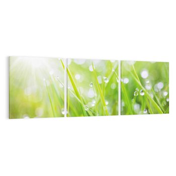 Obraz na płótnie 150x50 - Delikatna trawa pokryta rosą - trawa, rosa