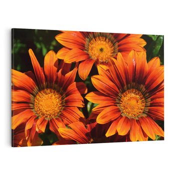 Obraz na płótnie 120x80 - Kwiatowa Esencja - kwiat, kwiaty