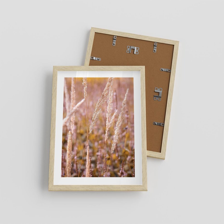 Plakat w ramie 30x40 - Sucha Trawa w Sierpniu - trawy, łąka - rama drewno