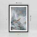 Plakat w ramie 50x70 - Piękno w Delikatności - dmuchawiec, makro zdjęcie - rama czarna