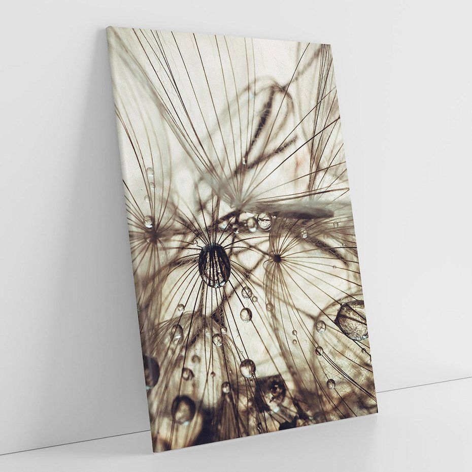 Obraz na płótnie 80x120 - Lekkie dmuchawce - dmuchawce, krople