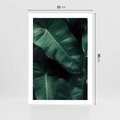 Plakat bez ramy 21x30 - Liście Bananowca - minimalizm, zielone liście bananowca