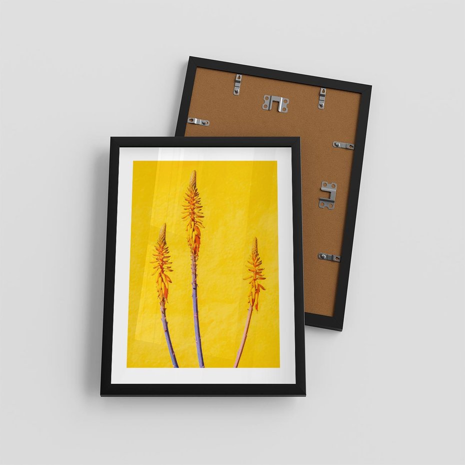 Plakat w ramie 30x40 - Radość Natury - kolor, kwiaty - rama czarna