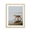 Plakat w ramie 40x50 - Przyjaciel na Plaży - pies, na plaży - rama drewno