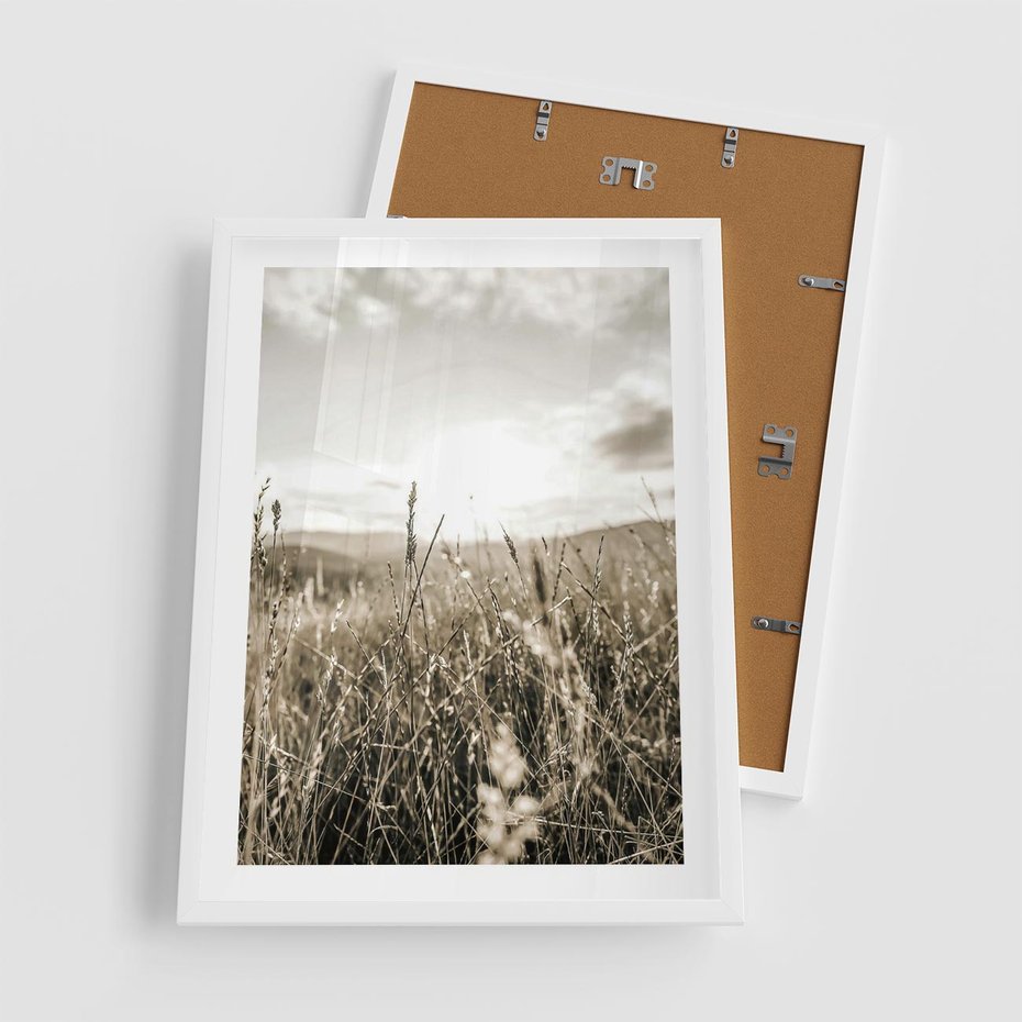 Plakat w ramie 50x70 - Łąka w Klimacie Sepii - suche trawy, łąka - rama biała
