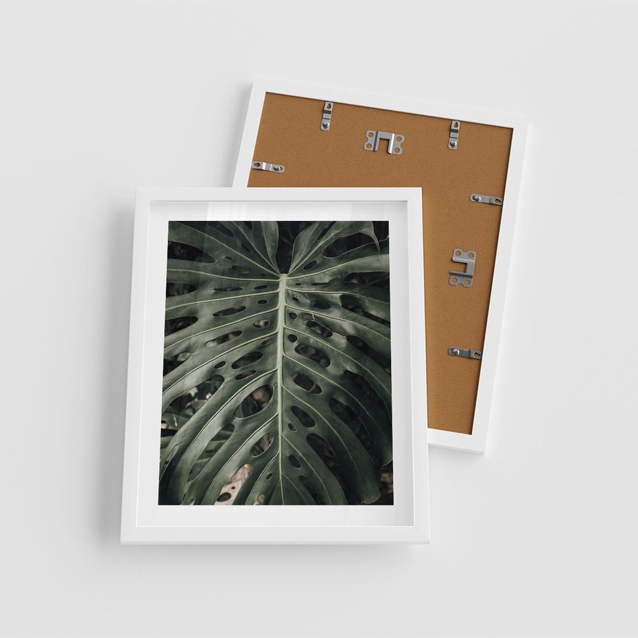 Plakat w ramie 40x50 - Majestatyczny Liść Monstery - liść monstery, majestatyczny liść - rama biała