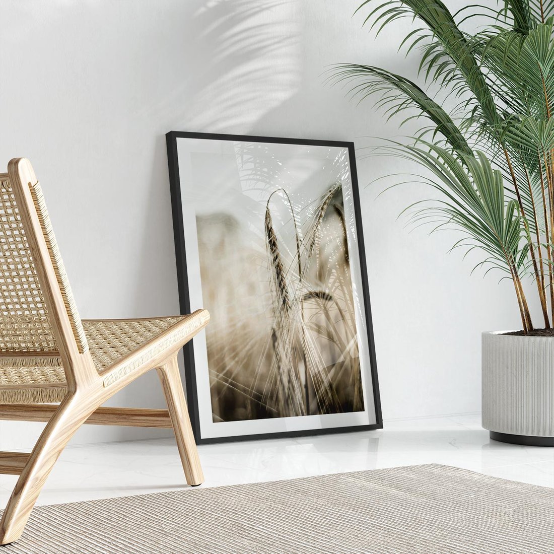 Plakat w ramie 50x70 - Kłosy Pszenicy w Sepii - zboże, kłos pszenicy - rama czarna